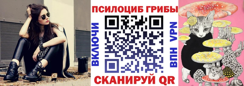 даркнет сайт Приозерск Галлюциногенные грибы Psilocybine cubensis