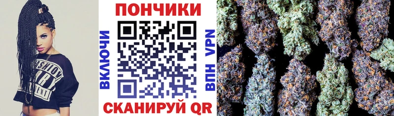 цены наркотик  Приозерск  Бошки марихуана тримм 