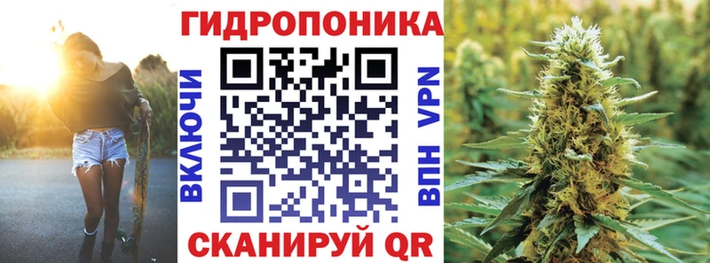 Марихуана Amnesia Приозерск